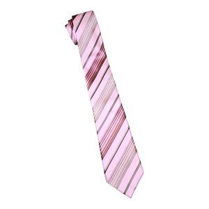 BCBG Attitude Silk Tie